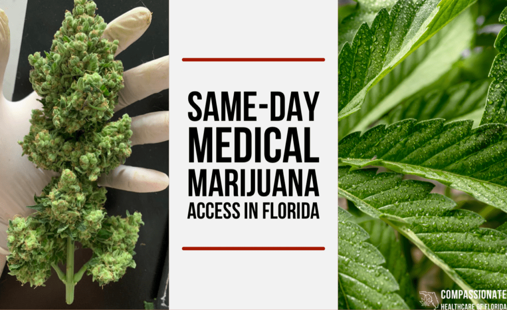 Same-Day Medical Marijuana Access in Florida - Compassionate Healthcare of  Florida